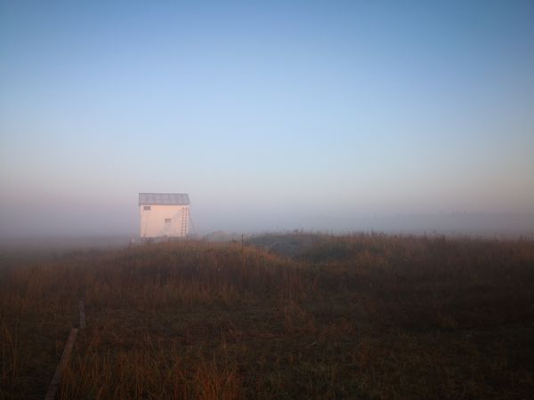 Misty morning
