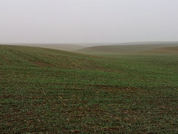 Emptyness