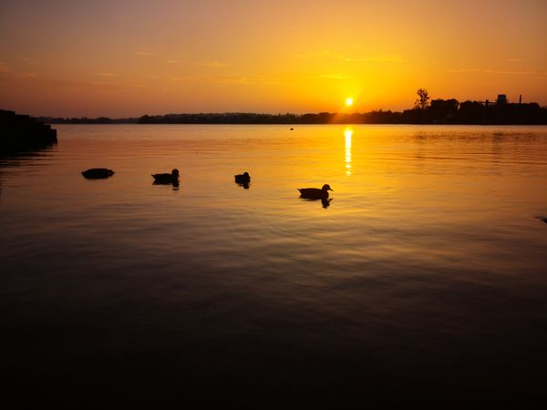 Sunset on the river