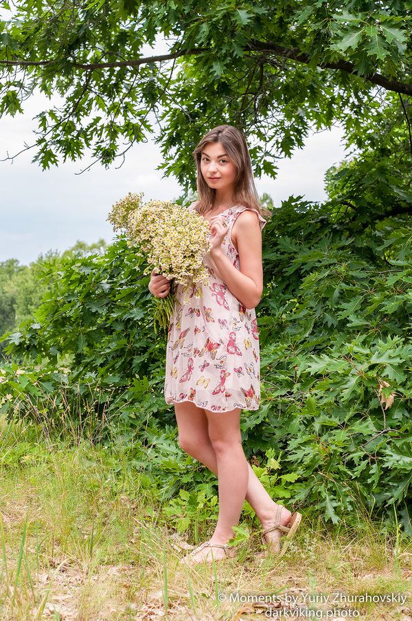 A walk with butterflies