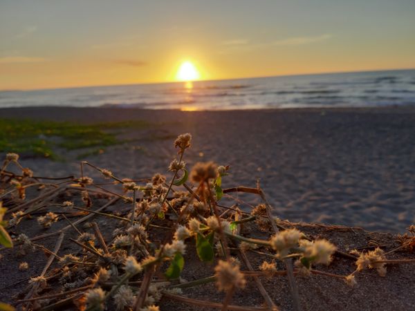 Sunset by the Sea