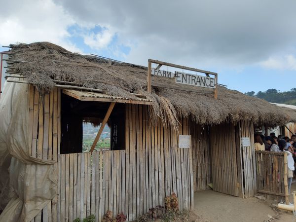Old Cogon Hut