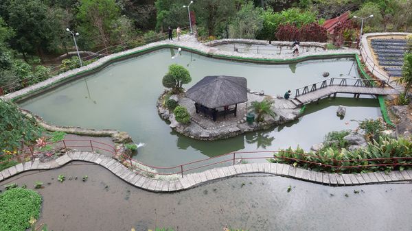 BenCab Museum Nature Park