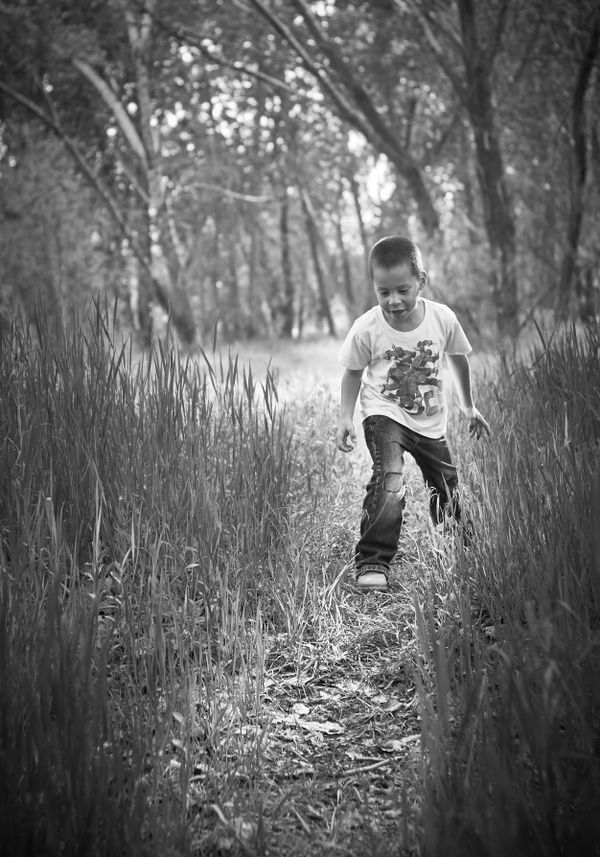 Path to adventure
