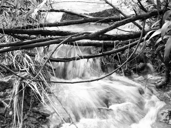 Running Water