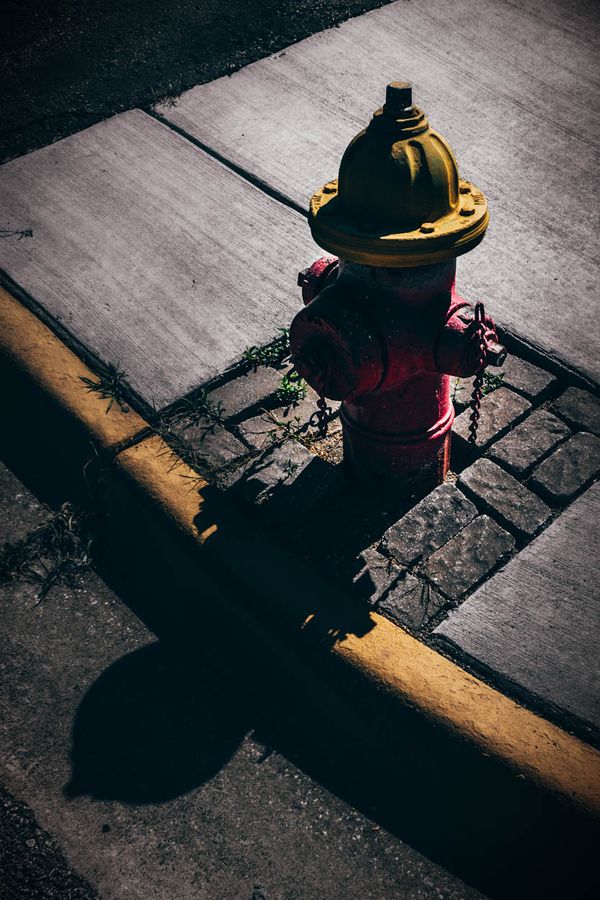 Hydrant Strawberry Hill Sun