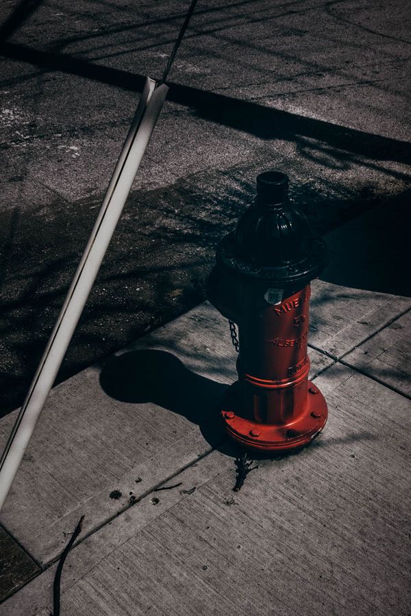 Hydrant W Bottoms KCMO Sunny