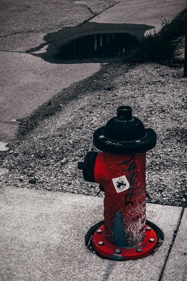 Hydrant W Bottoms KCMO Cloudy