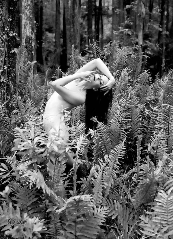 Among the ferns