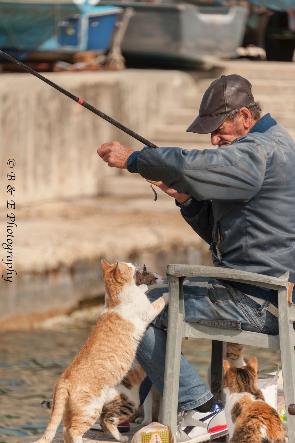 Fishing for lunch with a cat eagerly awaiting fresh fish.