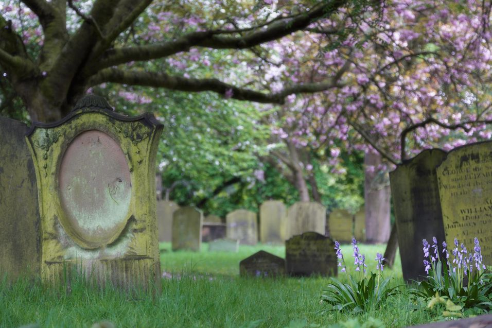 Spring in an English cemetery