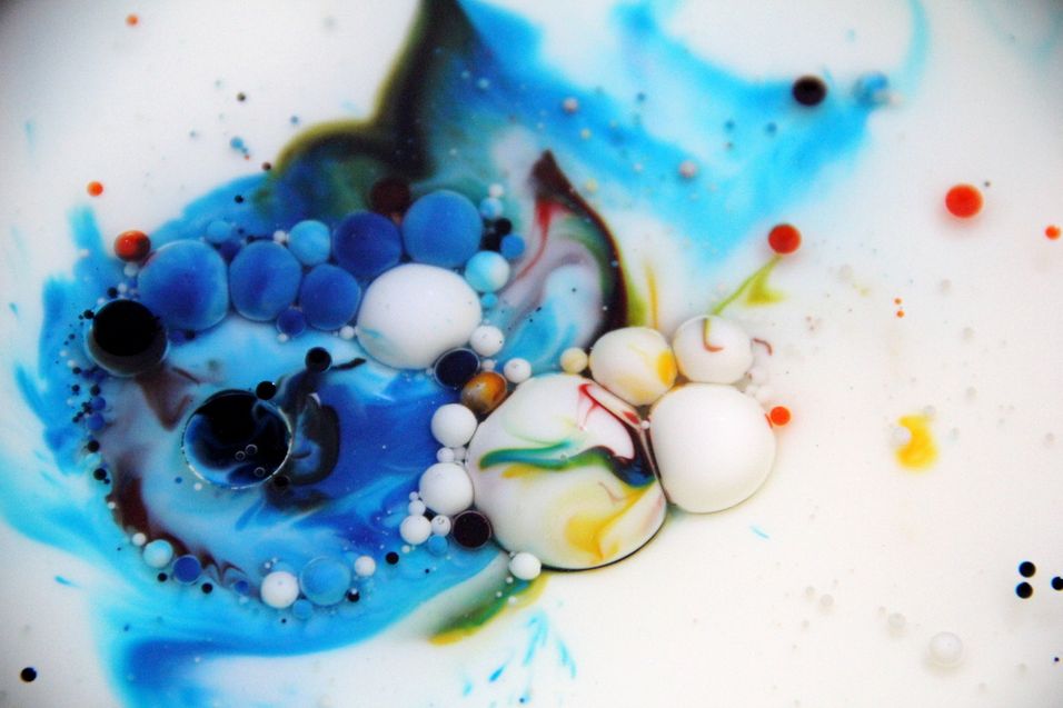 multicolor oil and milk abstract art 